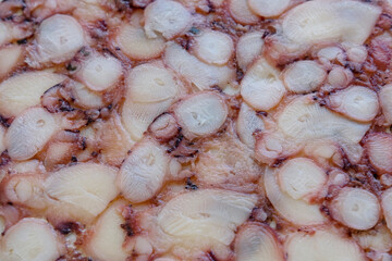 Traditional Spanish dish pulpo prensado or octopus carpaccio, showing an intricate mosaic of thinly sliced octopus discs pressed into a compact, uniform surface, a specialty from Galicia and Asturias