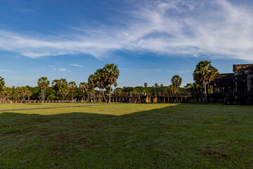 Obraz premium Wide view of angkor wat showing temple lawn, palm trees and the stone causeway with long morning shadows beneath a clear blue sky in siem reap, cambodia