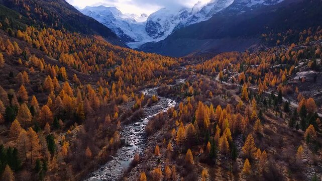 the famous morteratsch glacier in switzerland in autumn 4k 50fps video
