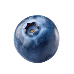 A single ripe blueberry isolated on transparent background