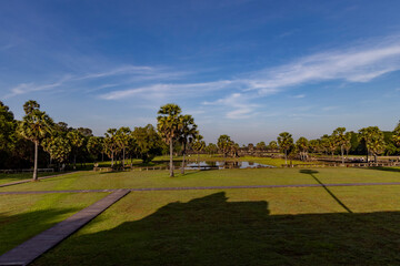 Wide view of angkor wat temple grounds showing palms, pond and causeway with long morning shadows beneath a clear blue sky in siem reap, cambodia