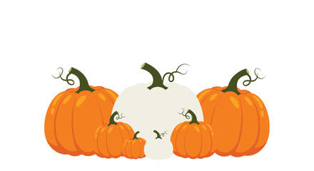 Assortment of Pumpkins for Autumn and Halloween Decorations.