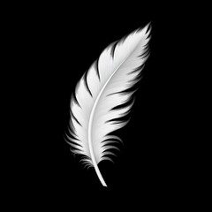 黒い背景の上に浮かぶ一本の白い羽 | A single white feather floating on a black background