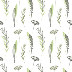 delicate botanical seamless background of field plants