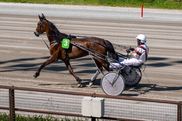 Modena, Italy – 05 18 2025: Racing horses trots and rider on a track of stadium. Competitions for trotting horse racing. Horses compete in harness racing. Horse runing at the track with rider.
