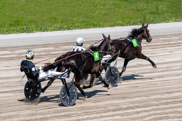 Modena, Italy – 05 18 2025: Racing horses trots and rider on a track of stadium. Competitions for trotting horse racing. Horses compete in harness racing. Horse runing at the track with rider.
