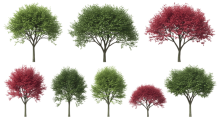 Realistic Collection of Green and Red Trees with Transparent Background for Landscape Design Nature Illustration and Eco Projects