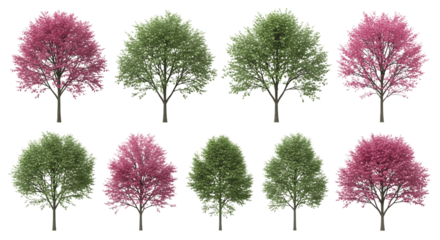 Collection of Realistic Green and Pink Trees with Transparent Background for Nature Design Garden Landscape and Spring Illustration Projects