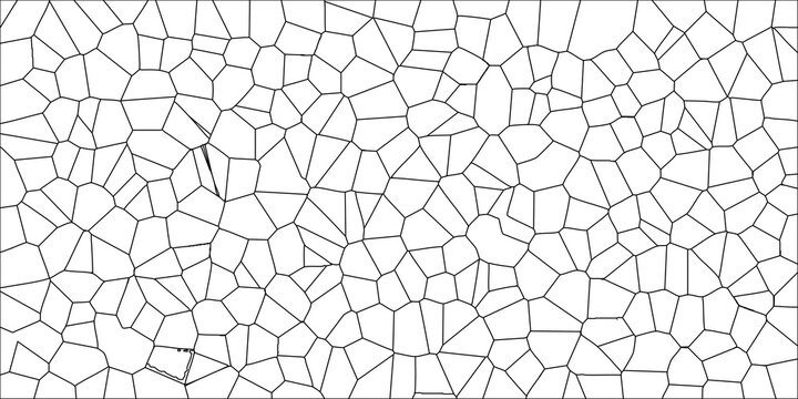 Abstract Voronoi Pattern Geometric Tessellation Black Lines White Background Organic Cellular Structure