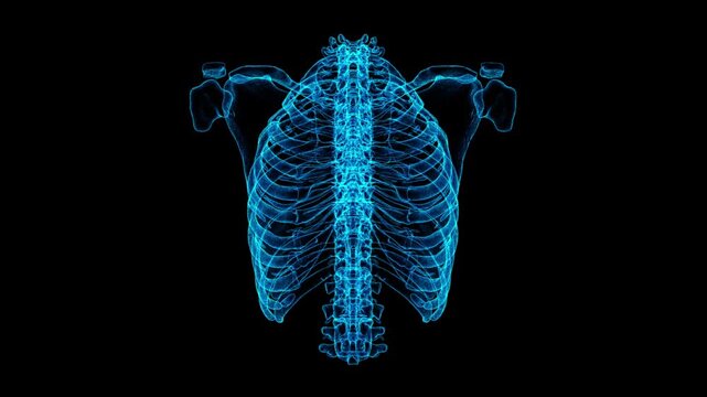 Futuristic Blue Glow Human Spine Ribs Digital 3D Medical Anatomy Structure Study