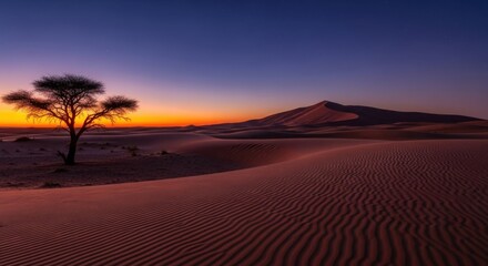 Serene desert dunes at sunrise with silhouetted tree for remembrance day design