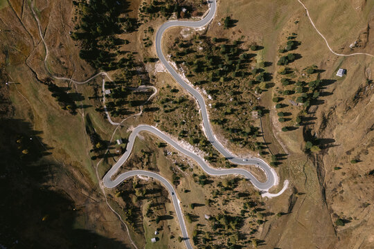 Aerial view of a winding road cutting through a landscape dotted with trees, revealing a tapestry of earthy tones and textures, Gardena Pass, Trentino-South Tyrol, Italy.