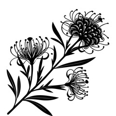 Detailed Grevillea Flower Silhouette. Sprig with Intricate Petals and Foliage on Transparent Canvas, Artistic Vector for Botanical Designs.