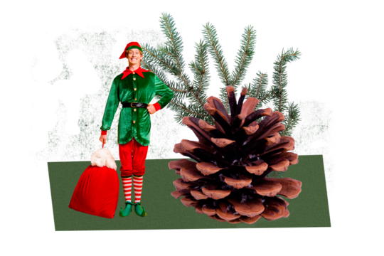 Composite photo collage of happy elf man hold present bag santa claus cone new year tree decor nature xmas isolated on painted background