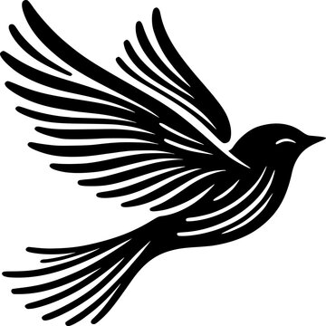 Dove of peace and spero bird vector illustration flying bird design