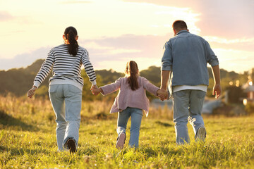 Family holding hands and running in field at sunset, back view