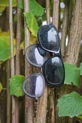 two black plastic sunglasses lie on green leaves and branches of  bush on summer street
