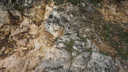 Coral Stone Texture Background