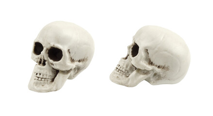 Set of artificial decorative skulls for the Halloween decoration isolated on white or transparent background