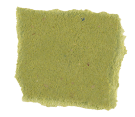 Square torn piece of green kraft paper with rugged edges and organic texture, isolated for scrapbooking, collage, or decorative design elements