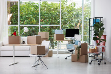 Many moving boxes, houseplants and furniture in new office