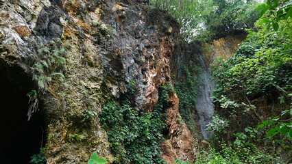 Coral Stone Texture Background