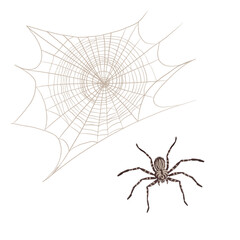 A digital image featuring Halloween, Magic, and Day of the Dead. for your design