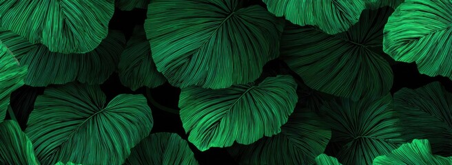 Deep green, textured leaves fill the image