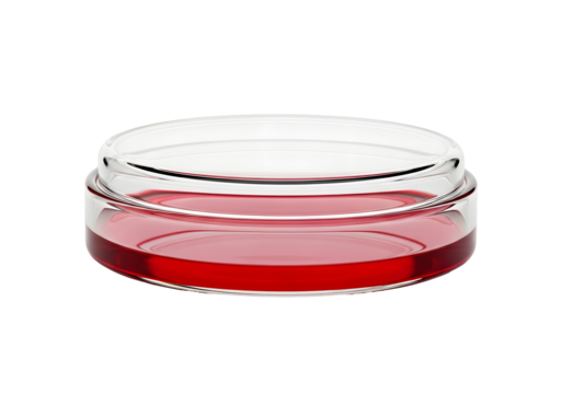 Glass Petri dish, isolated.