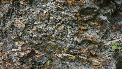 Rocks and Stones nature