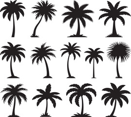 Naklejka premium Collection of black palm tree silhouettes on a white background vector