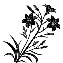 Blooming Lilies Elegant Floral Arrangement Vector Illustration Silhouette, Delicate Lily Flowers Black and White Outlines Design Element, Lily Flowers Silhouettes, Flower Design.