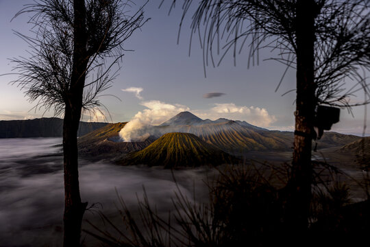 View of mist-shrouded volcanic peaks pierce the horizon, framed by silhouetted trees in the foreground, creating a dramatic contrast of light and shadow, Bromo, East Java, Indonesia.