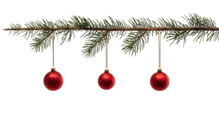 A horizontal fir branch, from which hang three red Christmas ornaments on golden threads. Symmetrical composition, clean lighting, isolated on white background.