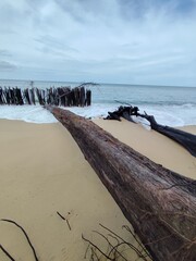 A sandy beach eroded by seawater and supported by wooden posts to protect it from the waves.