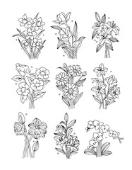 Set of hand-drawn flower bouquets. Line art botanical illustrations collection. Vector outline drawings.