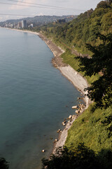 Scenic Coastal View with Pebble Beach and Lush Green Forest