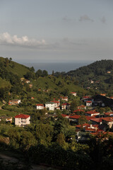 Scenic Hillside Village That Beautifully Overlooks the Majestic Ocean