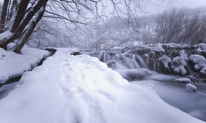 Landscape View Of The Beautiful Plitvice Lakes National Park , Croatia