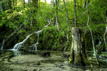 Landscape View Of The Beautiful Plitvice Lakes National Park , Croatia
