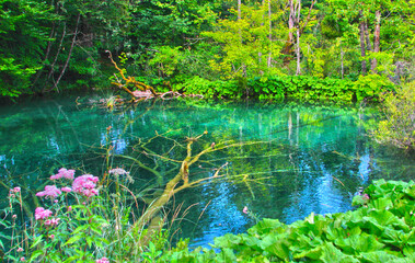 Landscape View Of The Beautiful Plitvice Lakes National Park , Croatia