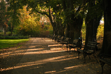 Empty park benches line a sunlit, tree-shaded walkway in autumn, fallen leaves scattered across the paved path while warm golden light filters through the dense leafy canopy.