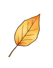 autumn leaf isolated on white watercolor illustration