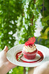 A close-up shot of a single cupcake on a decorative plate, set against a backdrop of vibrant green foliage. The cupcake features a creamy frosting with a red sugar decoration