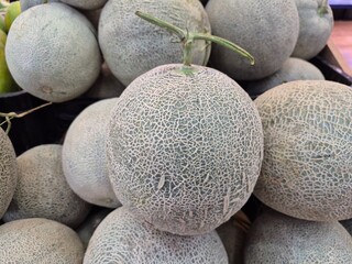 Fresh green melons with netted skin texture displayed at market, symbol of tropical freshness and healthy fruit