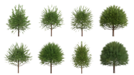 collection of vibrant tree, showcasing variations in foliage and structure, perfect for design assets. Isolated on transparent background, png