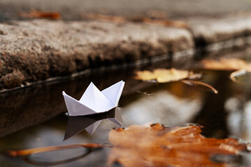Paper Boat in a Puddle by a Curb with Autumn Leaves