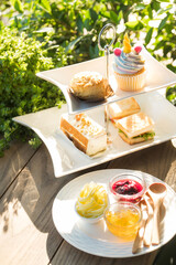A delightful display of sweet and savory treats arranged on a tiered serving tray. The arrangement features sandwiches, a cupcake, scone and dessert