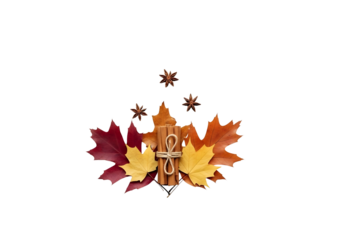Autumn maple leaves arrangement isolated on transparent background