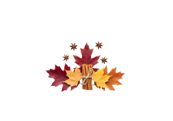 Autumn maple leaves arrangement isolated on transparent background